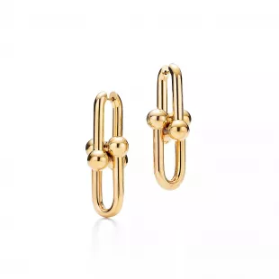 U Link Earrings