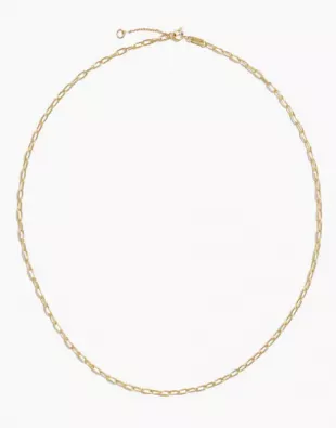 Delicate Collection Demi-Fine Paperclip Chain Necklace