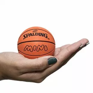 Spalding Ballon Spaldeen