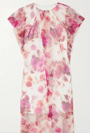 Pleated Floral-Print Organza Dress