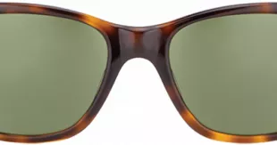 Saratoga Tortoise