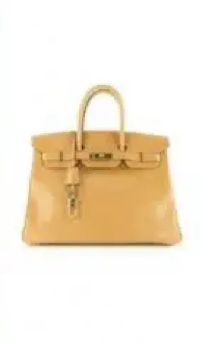 And Just Like That character Seema carries this Birkin bag, how