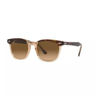 Ray Ban RB2298 Lunettes de Soleil Carr e Marron Verres Polaris s