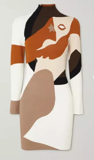 Turtleneck Mini Dress