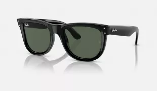Wayfarer Reverse Sunglasses