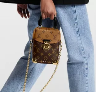 Louis Vuitton - Camera Box Bag