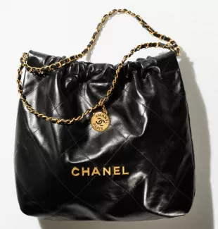 Chanel 22 Bag   668368 1699077341 