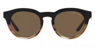AR8189U Sunglasses Black/Striped Brown Dark Brown