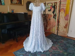 Regency style dream dress