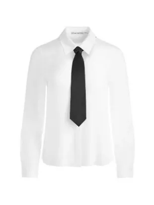 Willa Silk Chiffon Tie Shirt