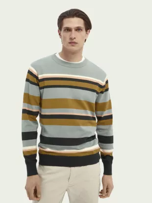 Striped Cotton Crewneck Sweater in Combo B