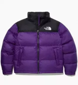 North Face - Puffer Jacket in Purple