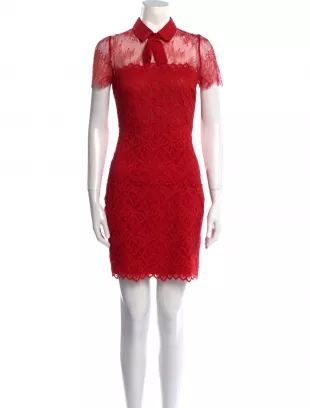 Lace Pattern Mini Dress