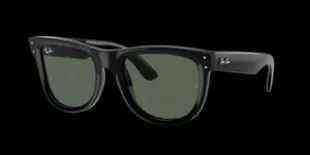 Wayfarer Reverse Sunglasses