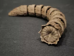 Dune Sand Worm Articulated