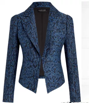 Snake Blazer