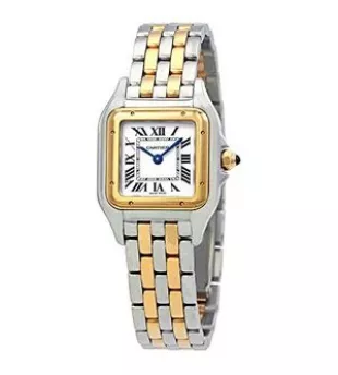 Panthere de Silver Dial Ladies Watch