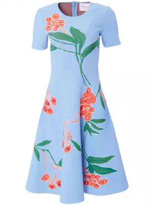 Floral Print Jacquard Knit Fit & Flare Dress