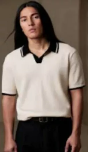 Johnny Collar Polo