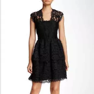 Lace Fit & Flare Dress
