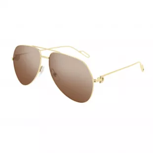 CT0110S 014 sunglasses