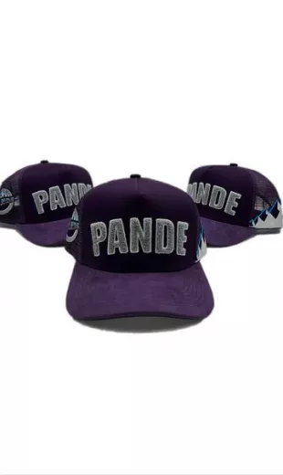 Purple City  SnapBack Hat