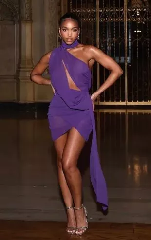Purple Sheer Chiffon Ruched Detail Asymmetric Drape Bodycon Dress