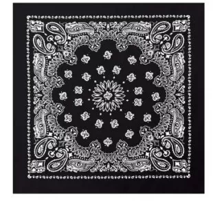 Trainmen Paisley Bandana