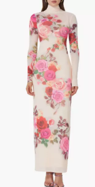 Billie Print Long Sleeve Semisheer Dress