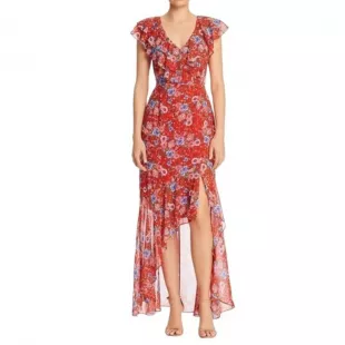 Women's Red and Blue Dress