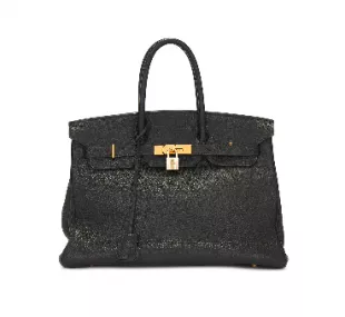 Togo Birkin 35 Handbag