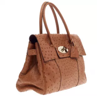 Bayswater Satchel Ostrich Medium