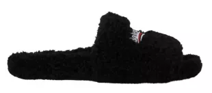 Black Furry Political Campaign Slides