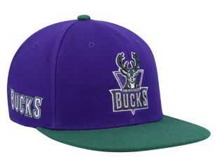 Customized Purple/Hunter Green Milwaukee Bucks Hardwood Classics Core Side Snapback Hat