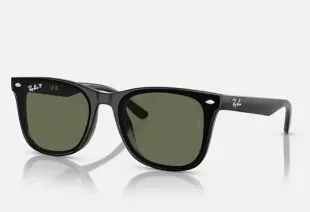 Rb4420 Sunglasses
