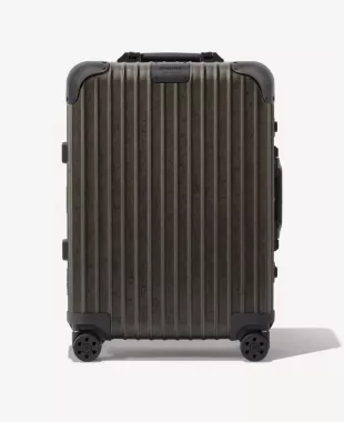 Bronze 'Cabin' Suitcase