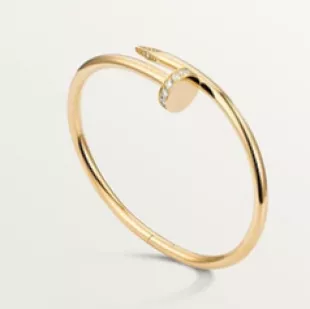 Diamond Set Juste Un Clou Bracelet