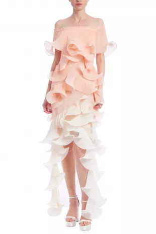 Off-the-Shoulder Pleated Organza Gown