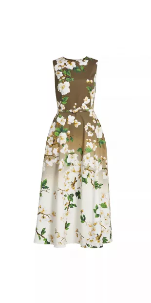 Cherry Blossom Ombré Stretch-Cotton Midi-Dress