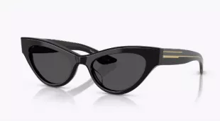 1951C Sunglasses