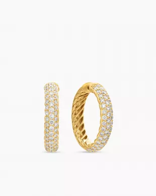 Dy Mercer Hoop Earrings