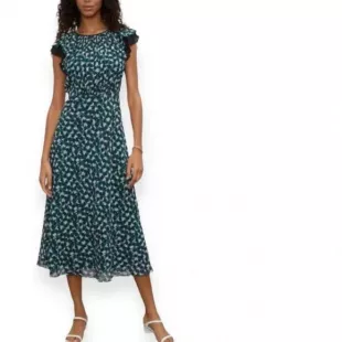 Drape Flutter Sleeve Printed Maxi Dress