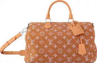 Light Brown Nubuck Speedy 40 Bag