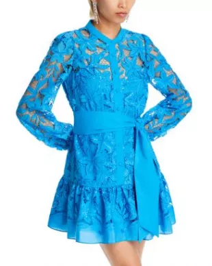 Nellie Sequined Lace Mini Dress