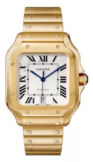 Yellow Gold & White Santos