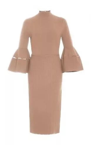 Mock Neck Flounce Sleeve Knit Dress