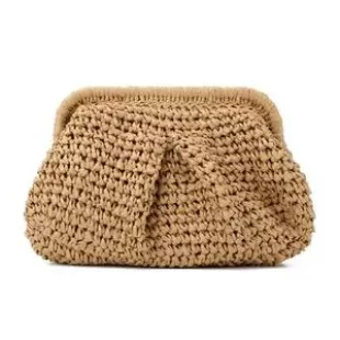 Woven Dumpling Bag Summer Beach Clutch