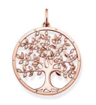 Pendentif  argent sterling 925, ...
