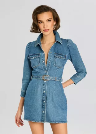 Wiley Denim Mini Dress