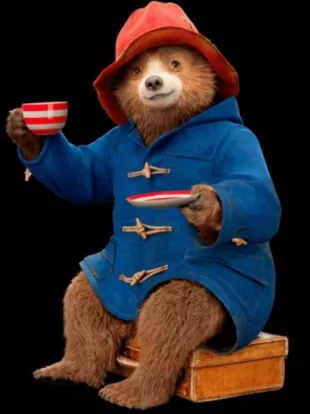 Paddington Bear Coat